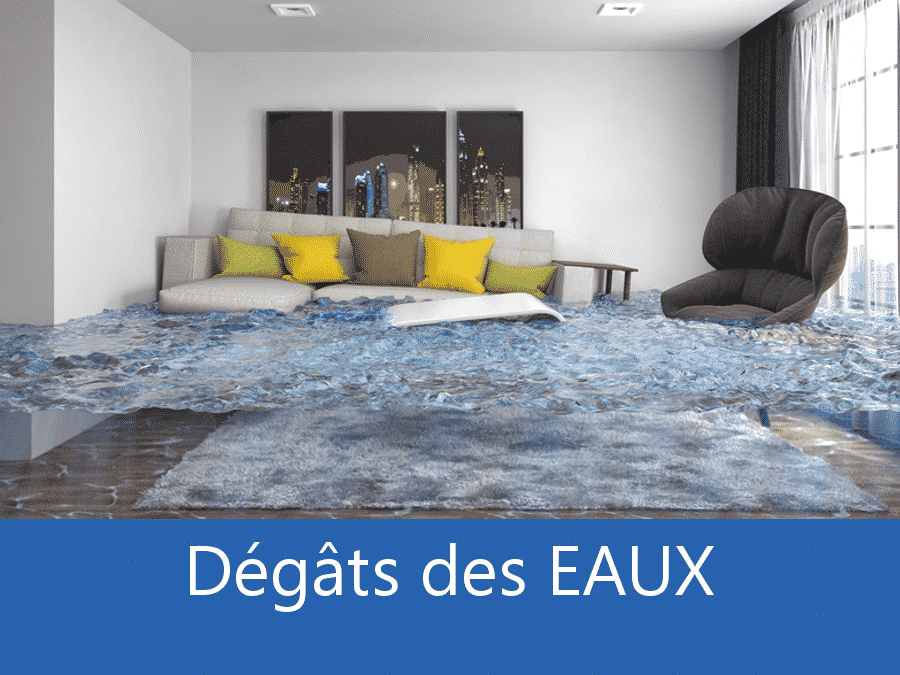 expertise humidité 77, expert humidité Melun, cause moisissure Chelles, solutions hulidité Melun,